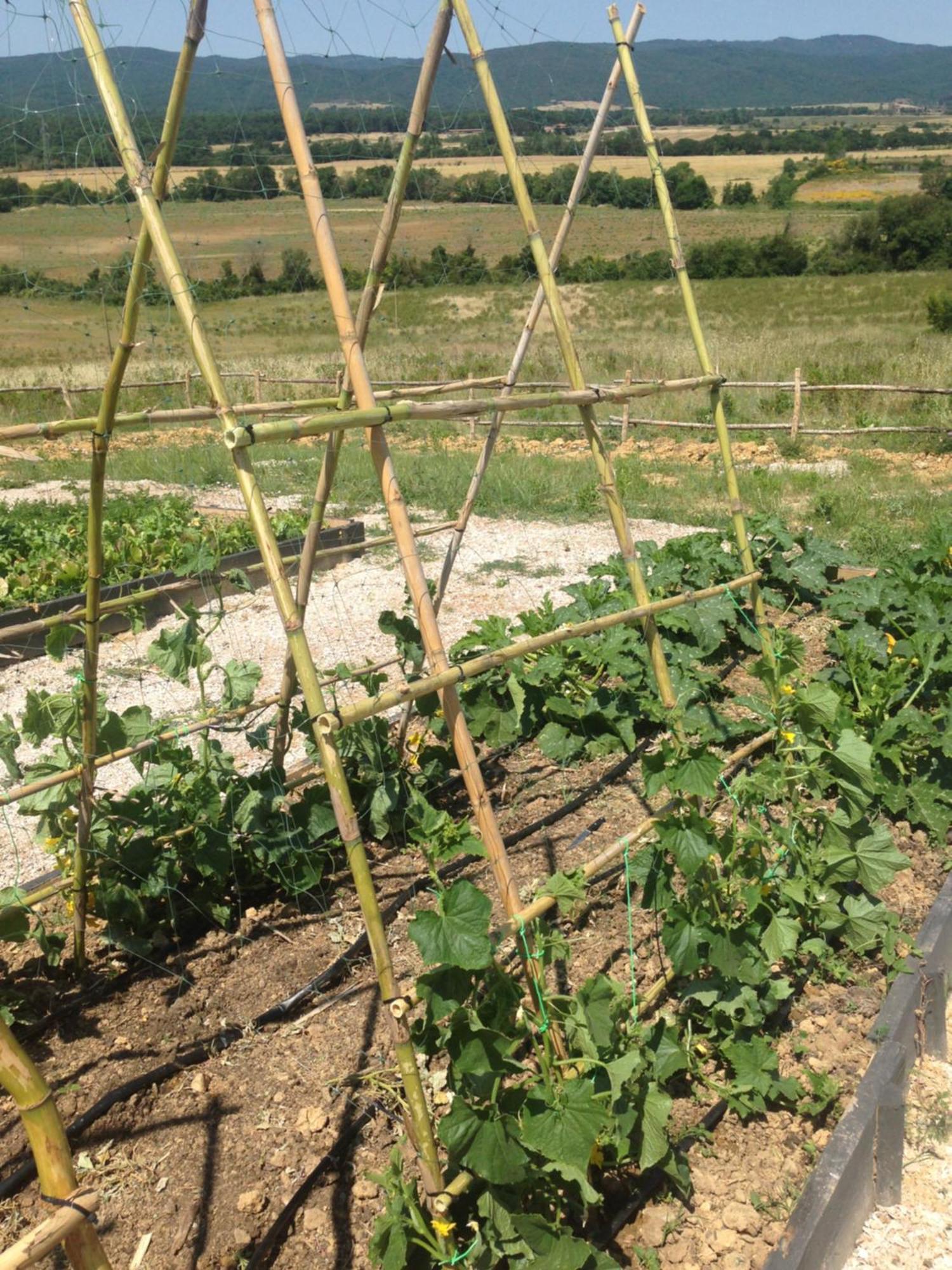 Wine Resort Conti Di San Bonifacio Ribolla Zewnętrze zdjęcie