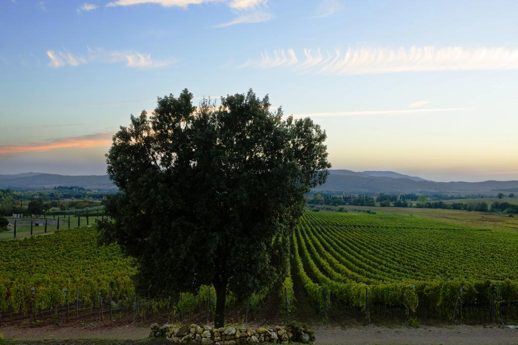 Wine Resort Conti Di San Bonifacio Ribolla Zewnętrze zdjęcie