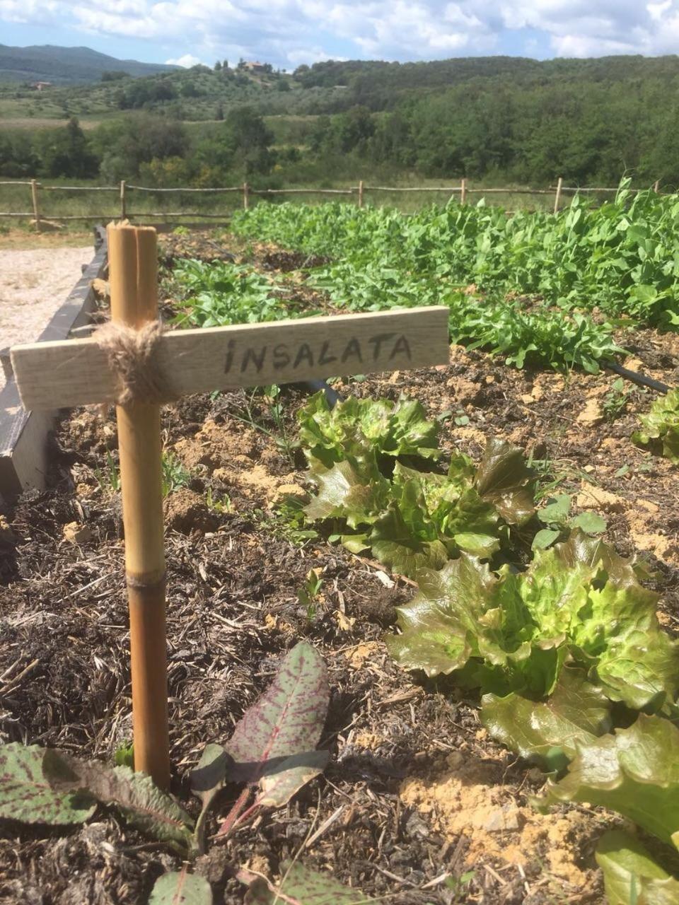 Wine Resort Conti Di San Bonifacio Ribolla Zewnętrze zdjęcie